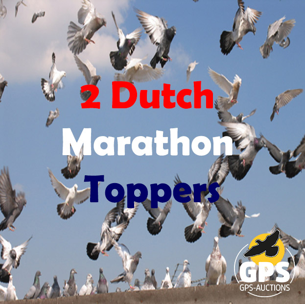 2 Dutch Marathon Toppers (Total Auction – Olympic Station)
