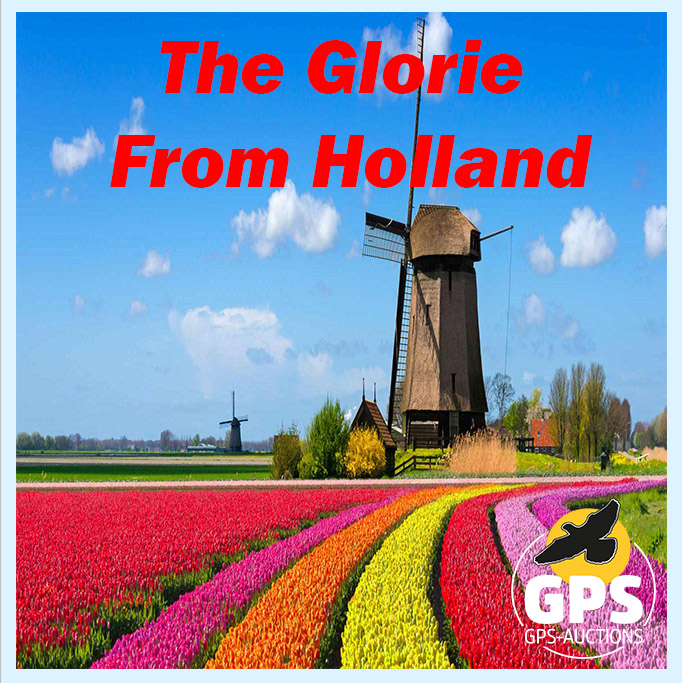 The Glorie from Holland