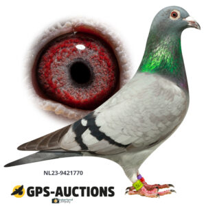 NL23-9421770