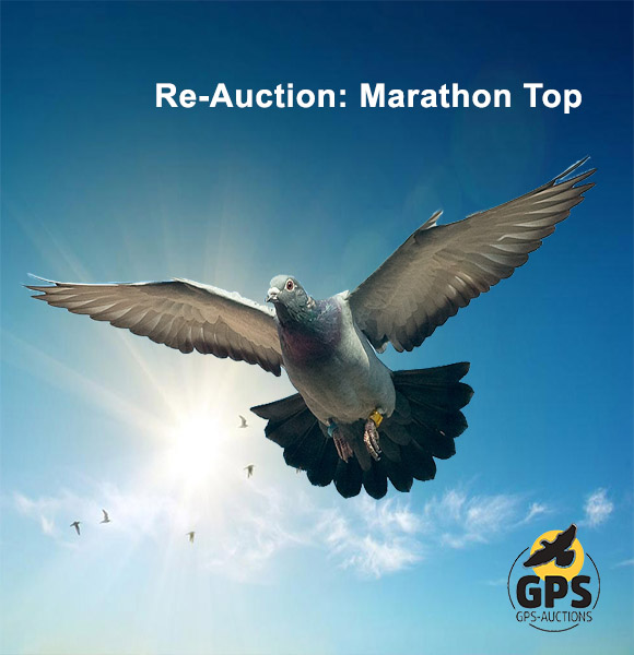 Re-Auction: Marathon Top