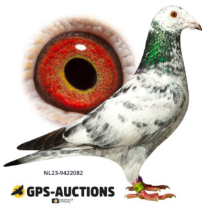 NL23-9422082