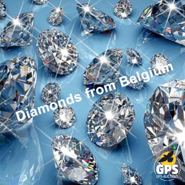 Diamond Pigeons Belgium