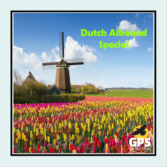 Dutch Allround Mix