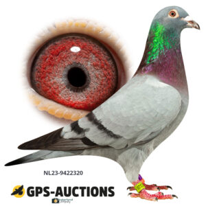 NL23-9422320