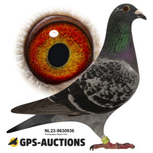 NL23-9630936