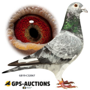 GB19-C32067