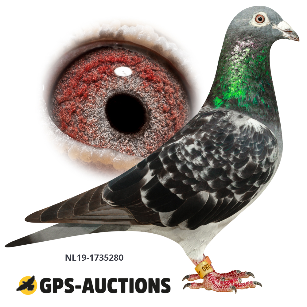 7位超级巨星—— GPS-Auctions