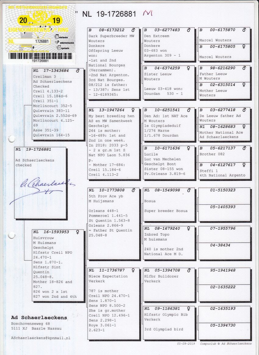 NL19-1726881
