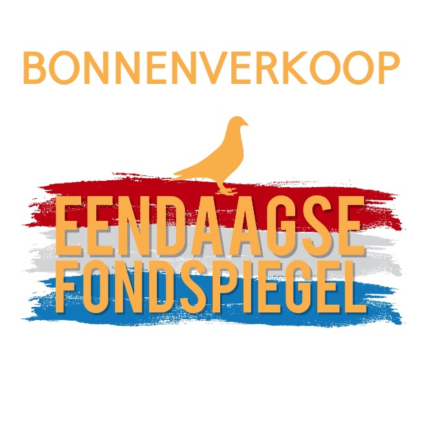 Eendaagse Fondspiegel Part 1