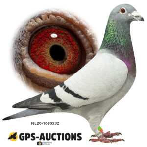 NL20-1080532