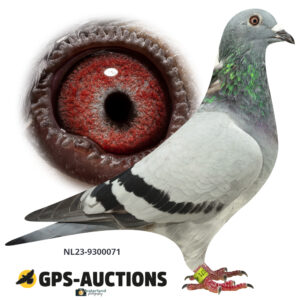 NL23-9300071