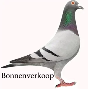 Wilmartho Assendelft