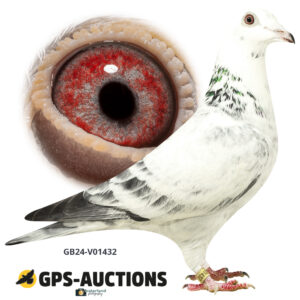 GB24-V01432