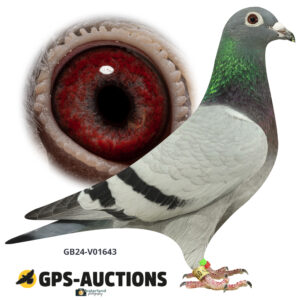 GB24-V01643