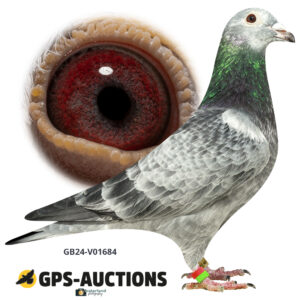 GB24-V01684