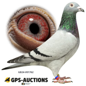 GB24-V01762