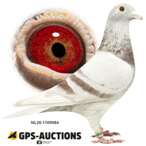 NL20-1109984