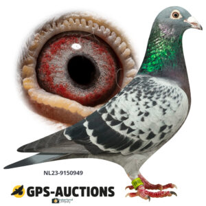 NL23-9150949