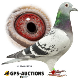 NL22-4014935