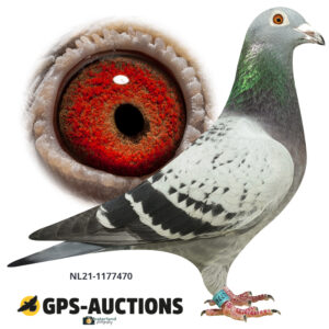 NL21-1177470