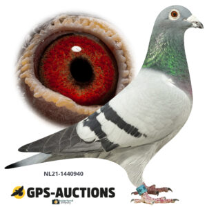 NL21-1440940