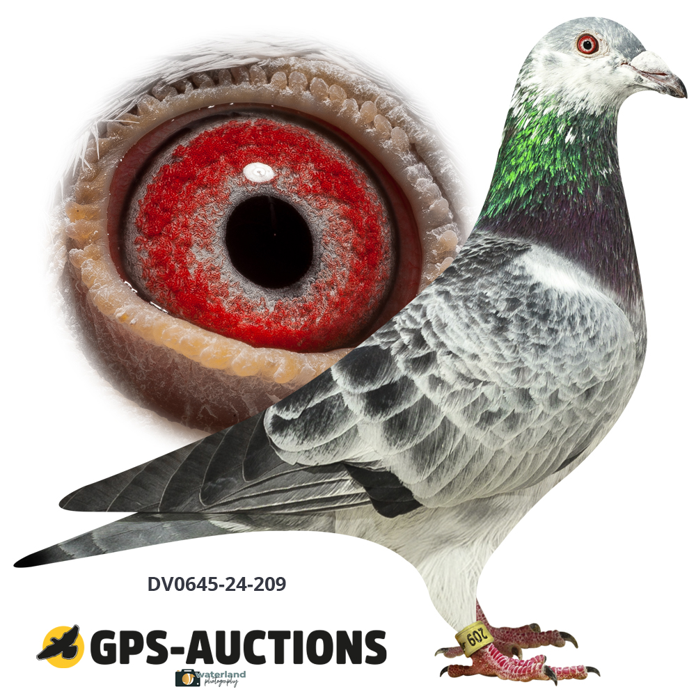 ف. و. روبريخت - الجزء الرابع - GPS-Auctions, image size:1000x1000