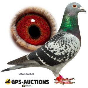 GB22-Z32138