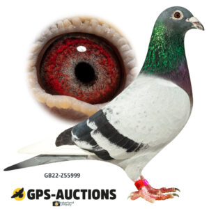 GB22-Z55999