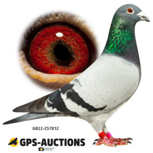 GB22-Z57812
