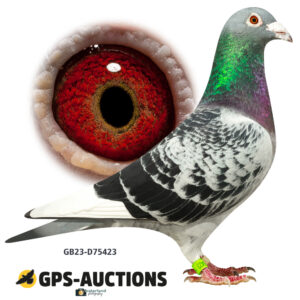 GB23-D75423