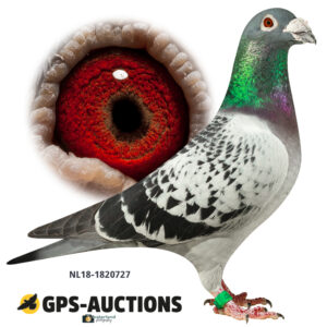 NL18-1820727
