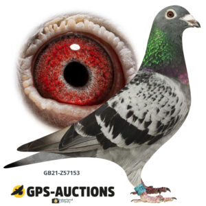 GB21-Z57153