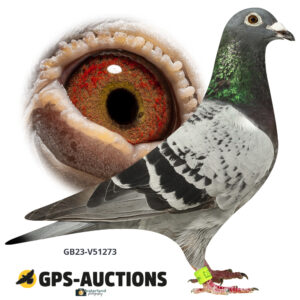 GB23-V51273