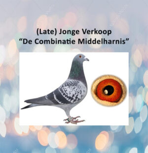 Jan Wagner - Stad a/ Haringvliet