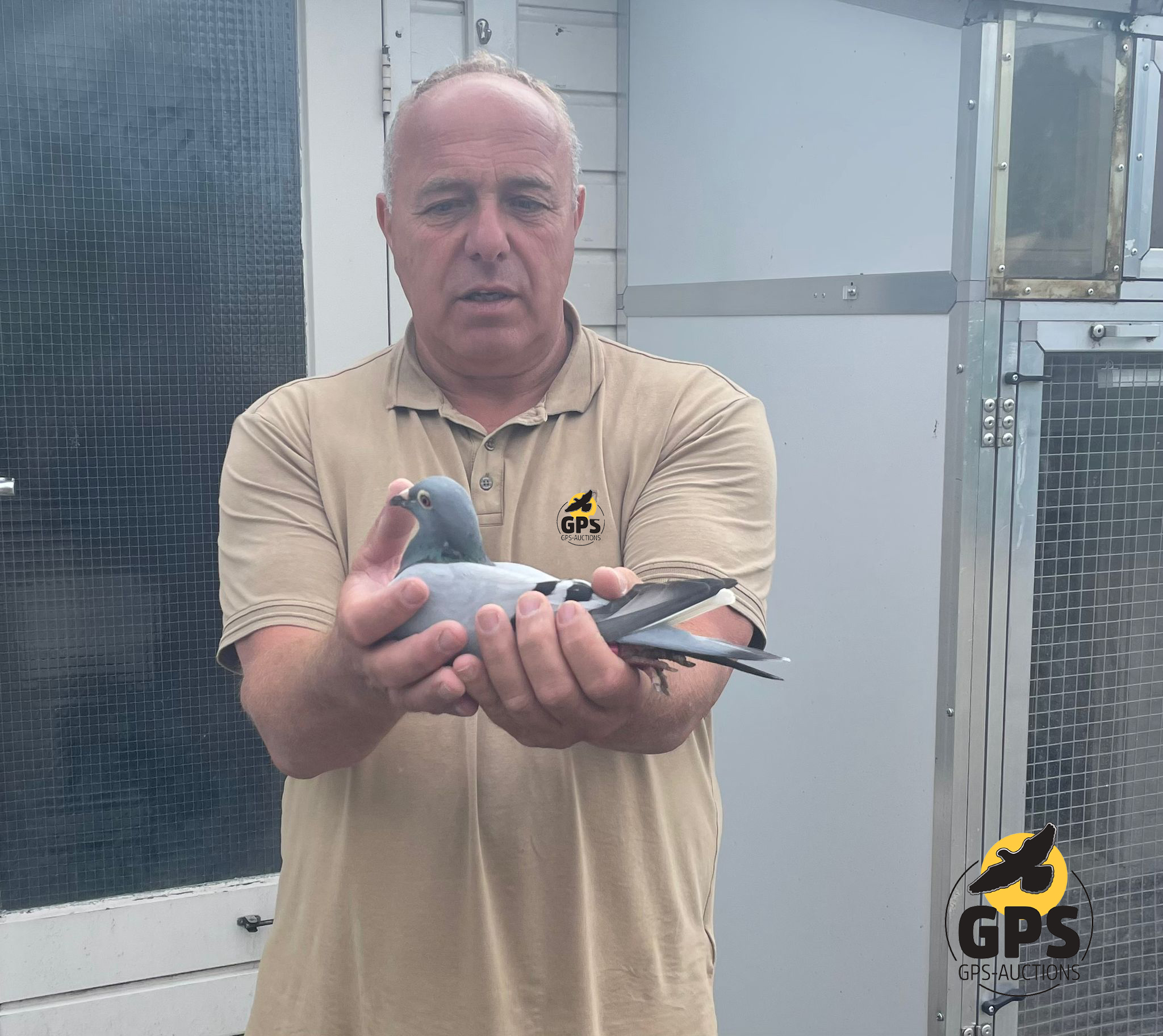 Grizzle Special – W. Scholten