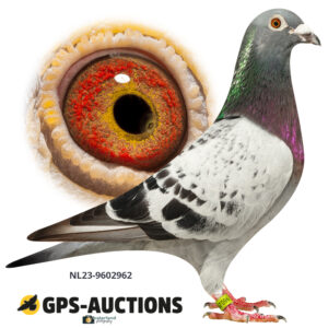NL23-9602962