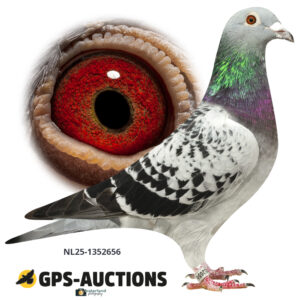 NL25-1352656