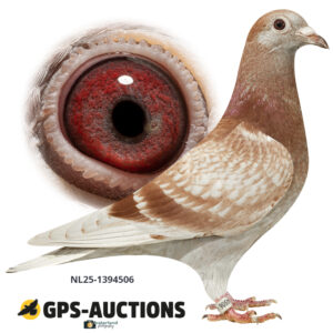 NL25-1394506