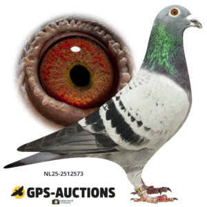 NL25-2512573