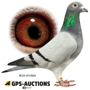 NL25-2512642
