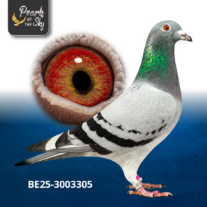 BE25-3003305