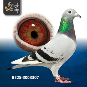 BE25-3003307