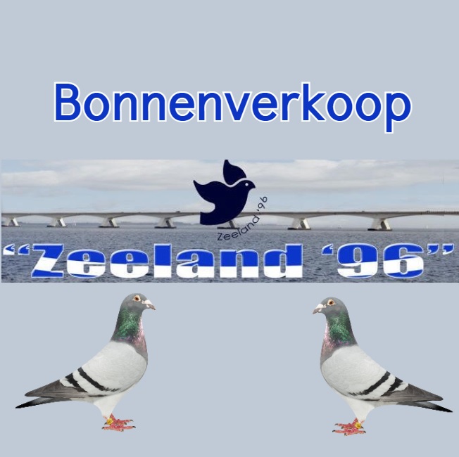 C. Paauwe, Kruiningen