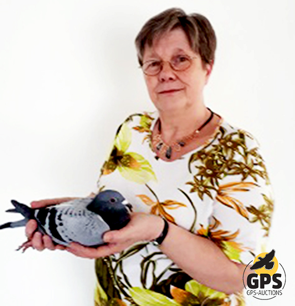 Lucie van Es Pigeons - Part 2