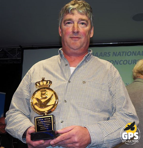 BLV Racing Pigeons - Geerinckx & Porsche Special