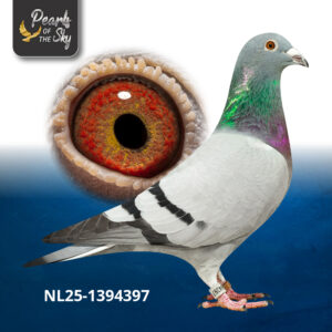 NL25-1394397