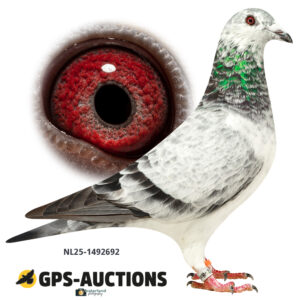 NL25-1492692