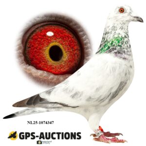 NL25-1074347