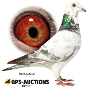 NL25-1074380