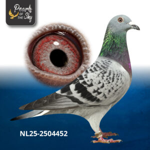 NL25-2504452